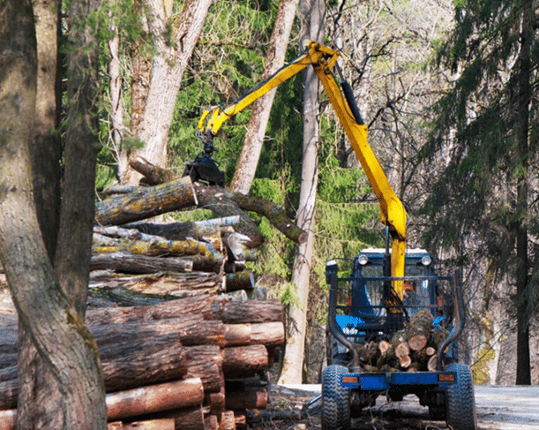 Forestry equipment global manufacturer-Success story