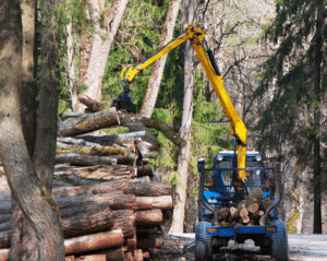 El fabricante global de equipos forestales selecciona a Annata para la digitalización en toda la empresa.